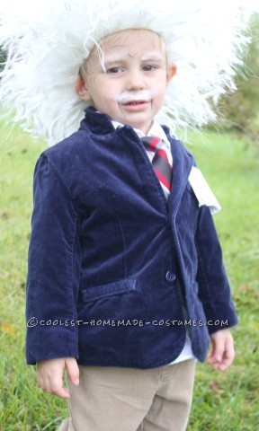 Cool Homemade Albert Einstein Toddler Costume