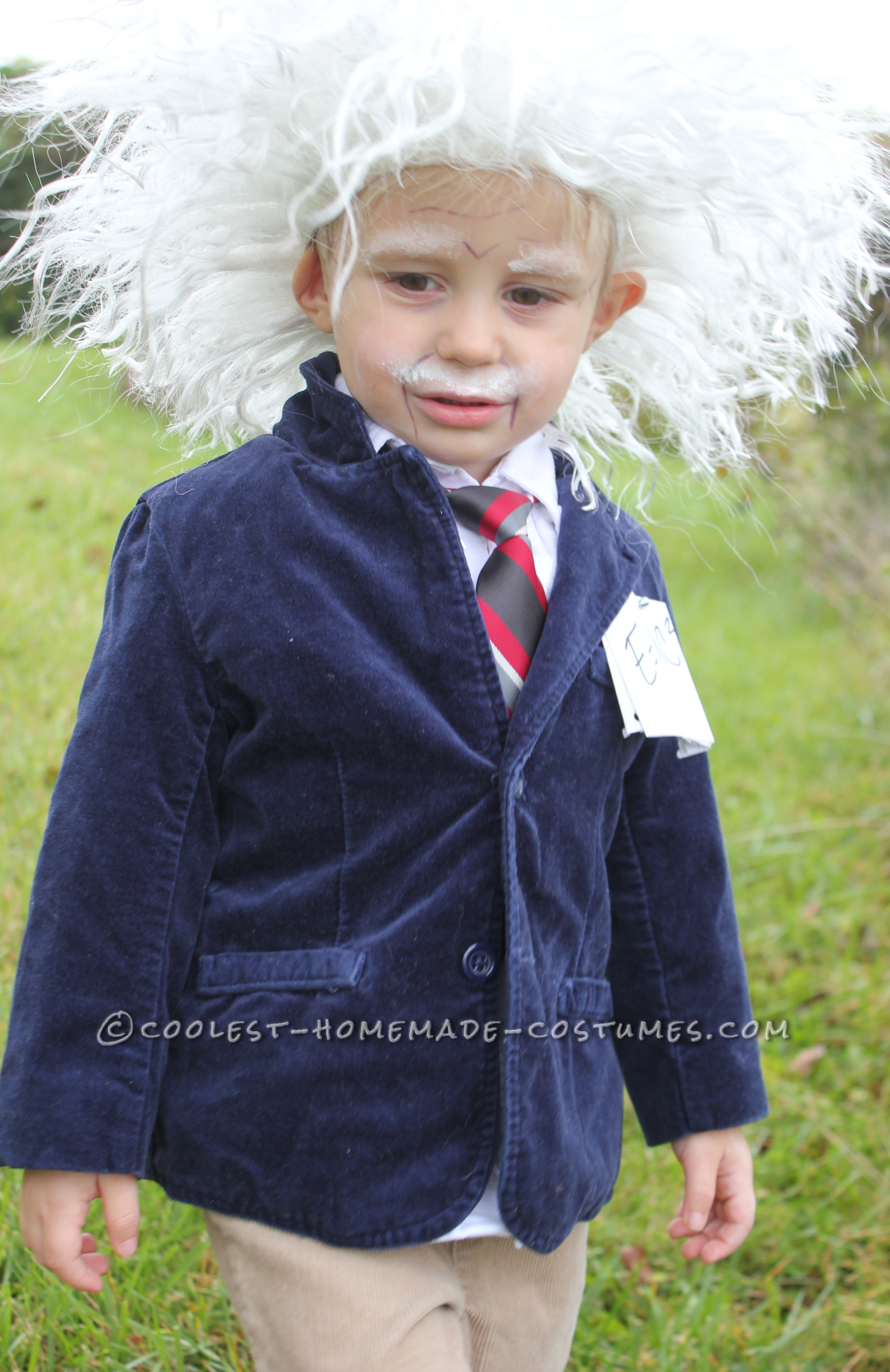 Cool Homemade Albert Einstein Toddler Costume