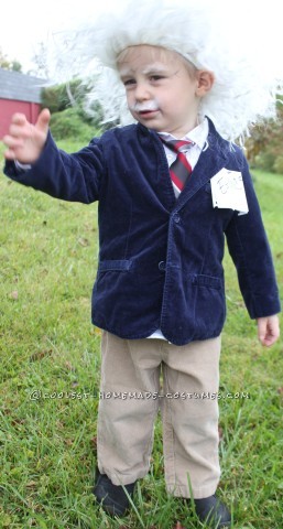 Cool Homemade Albert Einstein Toddler Costume