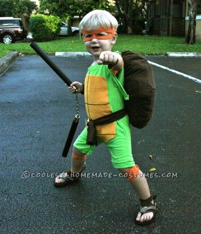 Coolest and Cheapest Homemade Ninja Turtle Costumes