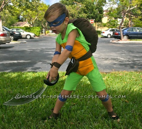 Coolest and Cheapest Homemade Ninja Turtle Costumes