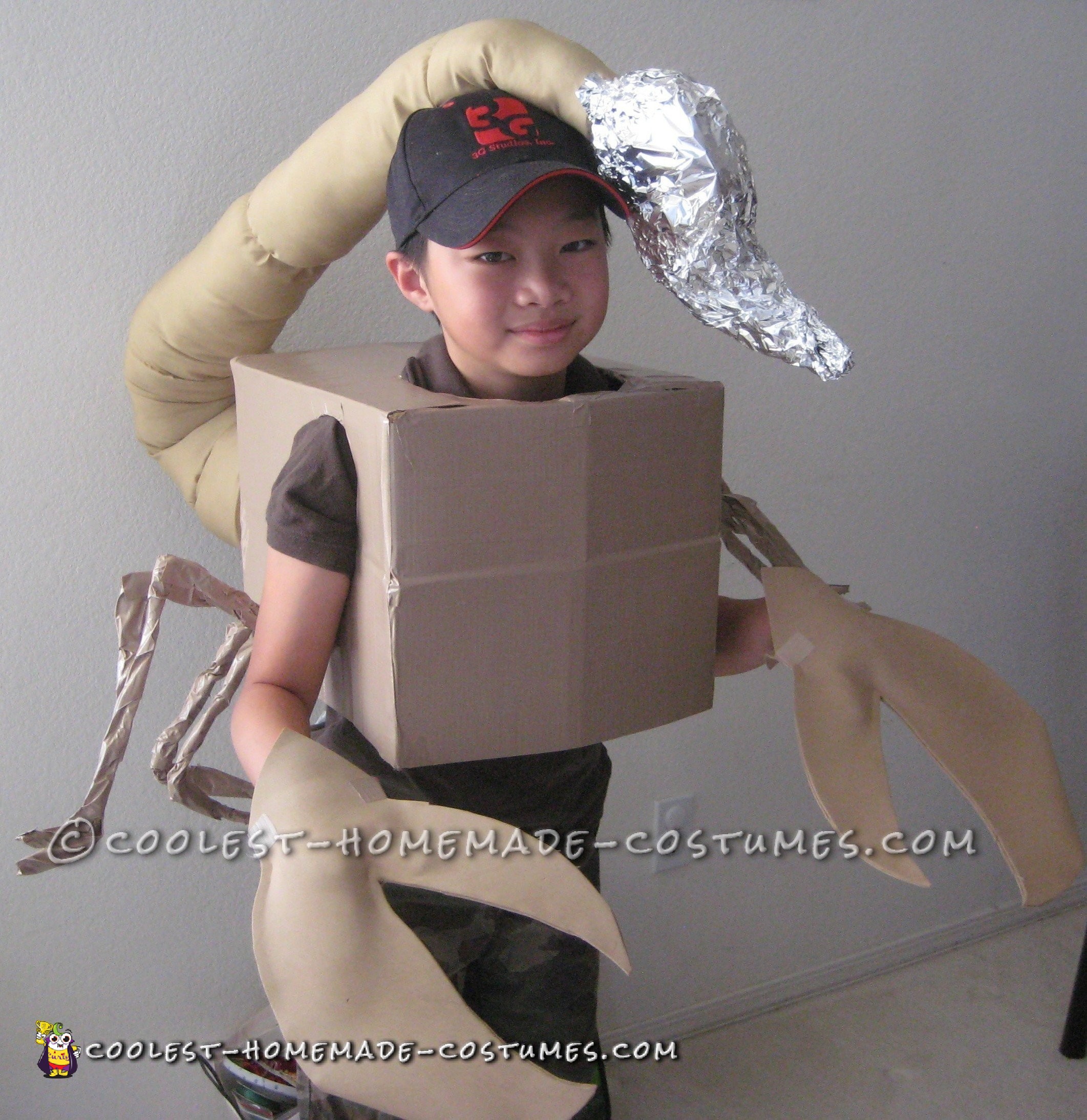 Cool Scorpion Costume for Under $20