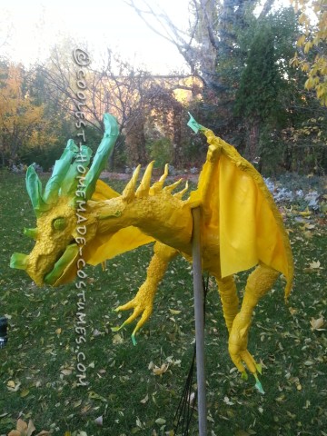 Dragon Trainer Gone Wrong Costume