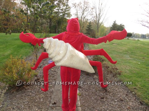 Coolest Hermit Crab Costume