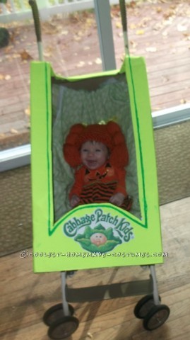 Coolest Homemade Baby in a Stroller Cabbage Costume