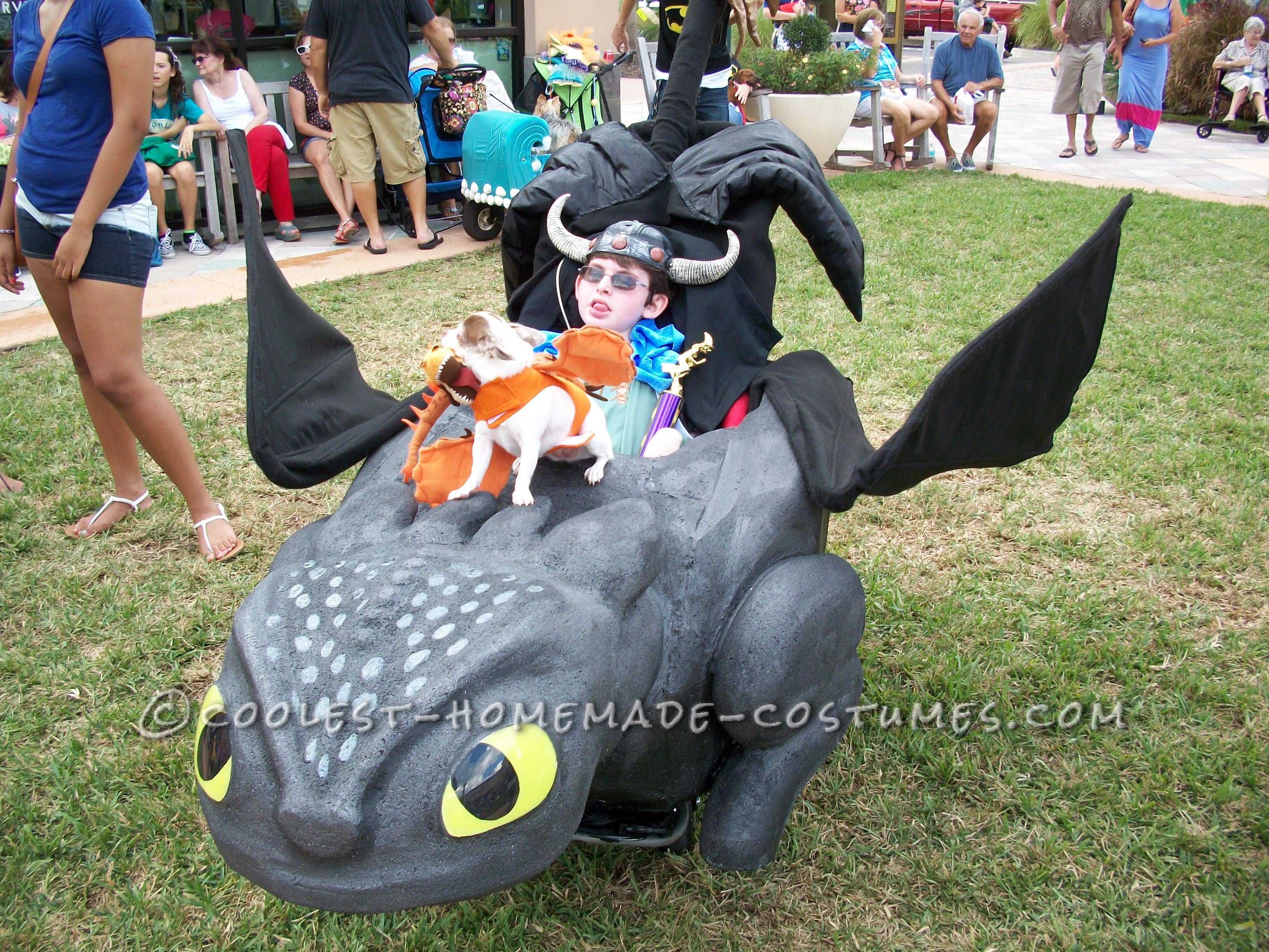 Awesome Toothless and Hiccup Wheelchair Costume