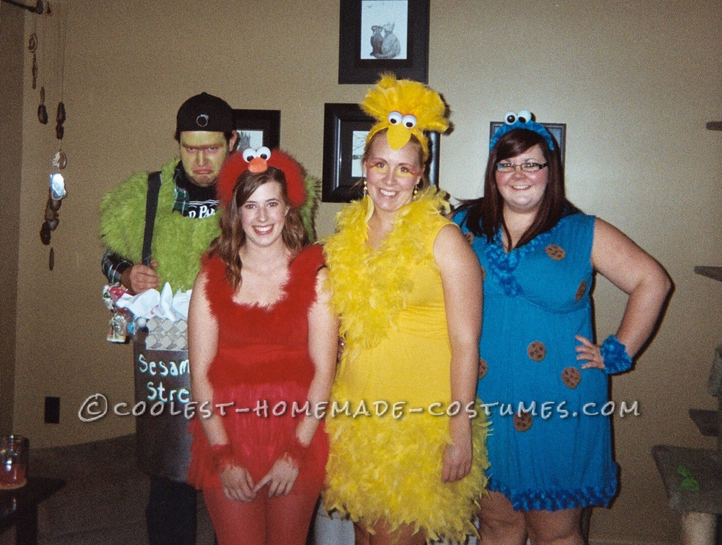 Cute Homemade Sesame Street Crew Group Costume