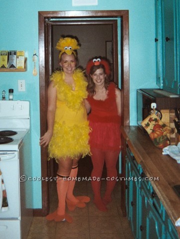 Cute Homemade Sesame Street Crew Group Costume