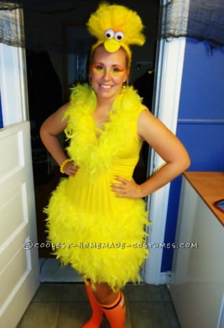 Cute Homemade Sesame Street Crew Group Costume