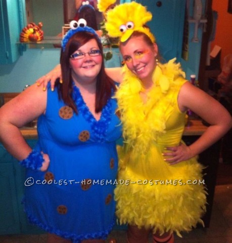 Cute Homemade Sesame Street Crew Group Costume