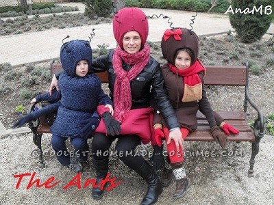 Cutest Family of Ants Ever!