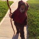 Cutest Handmade Ewok Costume for a Toddler