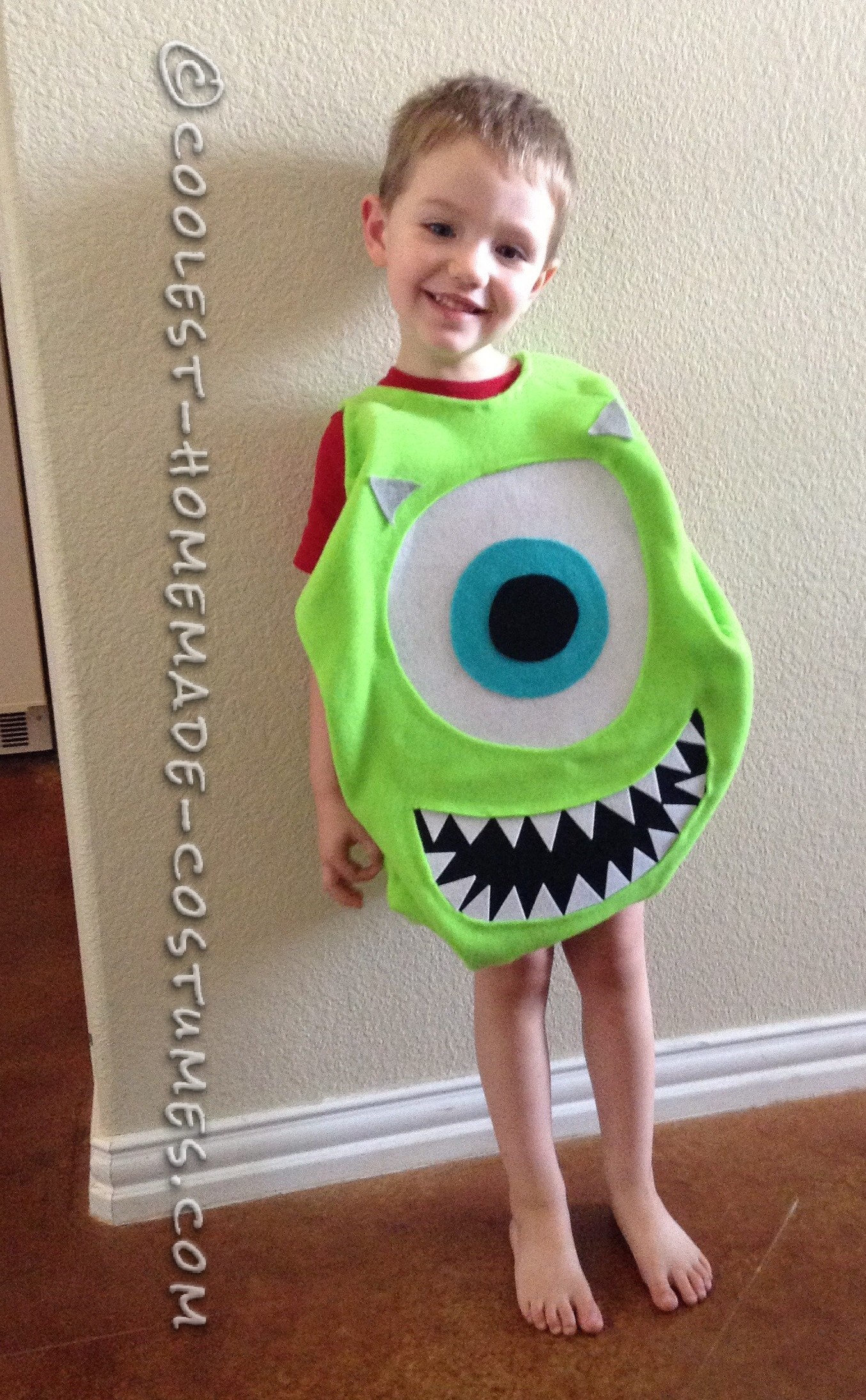 Cutest Mike Wazowski Costume for a Boy