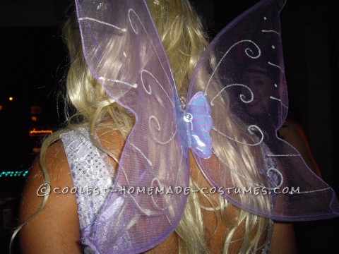 Dragon and Fairy Princess Couple Costume