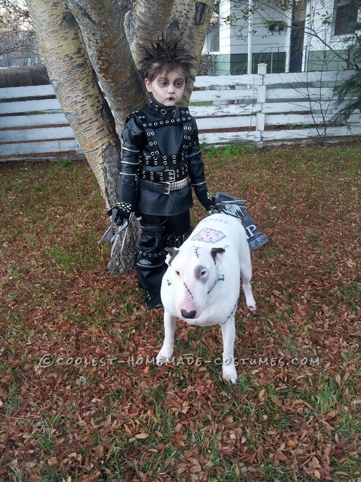 Cool Last-Minute Edward Scissorhands Boy Costume and Frankenweenie Pet Dog Costume