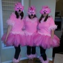 Flock of Flamingos Girl Group Costume