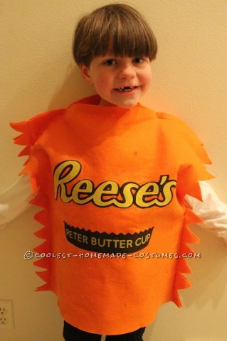 Fun Chocolate and Peanut Butter Candy Bars Family Costume