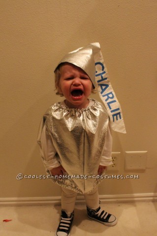 Fun Chocolate and Peanut Butter Candy Bars Family Costume