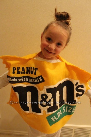 Fun Chocolate and Peanut Butter Candy Bars Family Costume