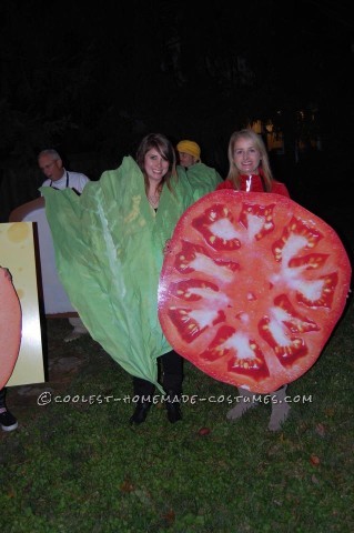 Giant Human Sandwich and Chips Group Halloween Costume