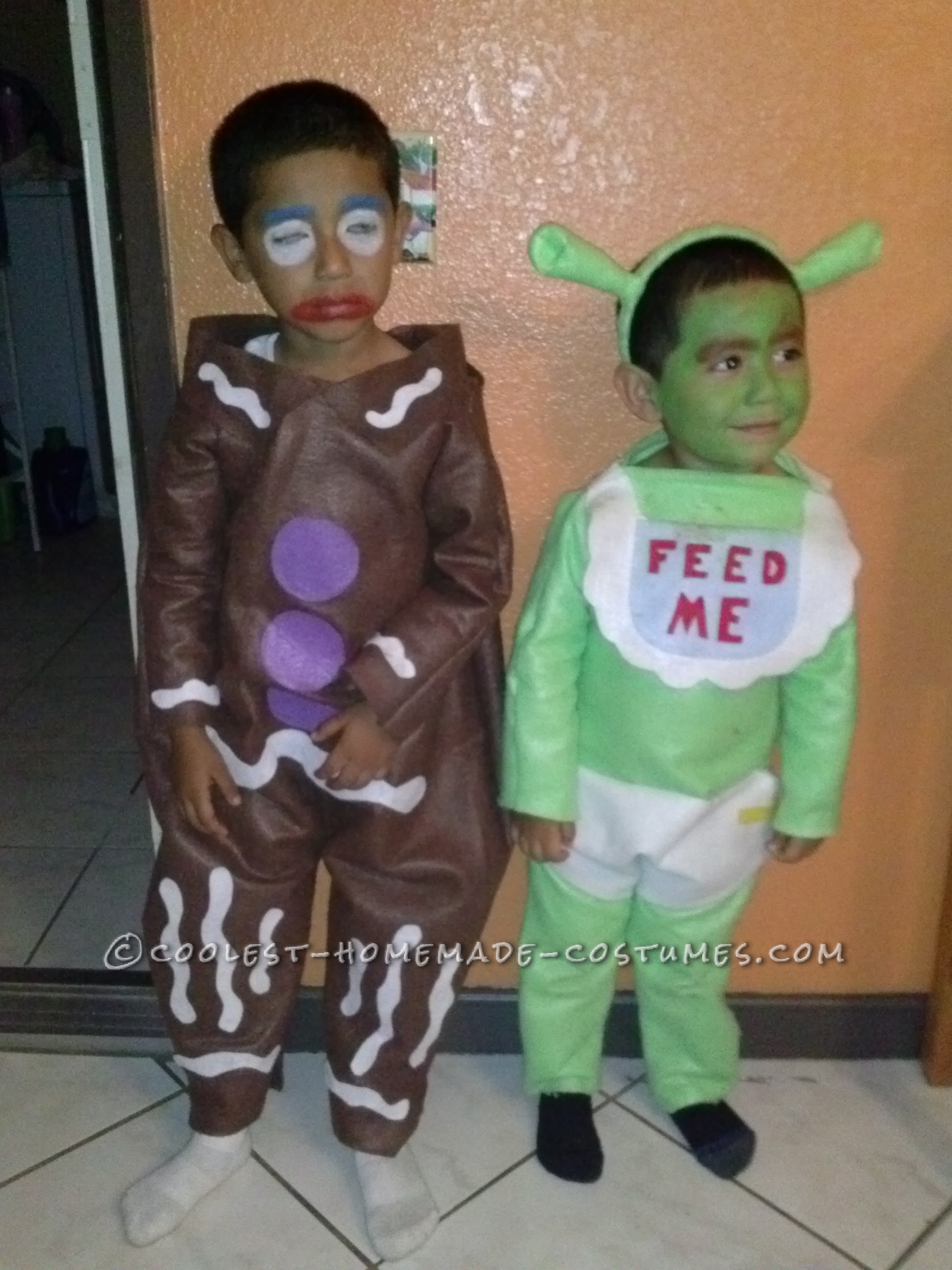 Gingy Cookie and Shrek Costumes