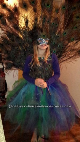 Cool Candy Crush Princess and Peacock Girl Costumes