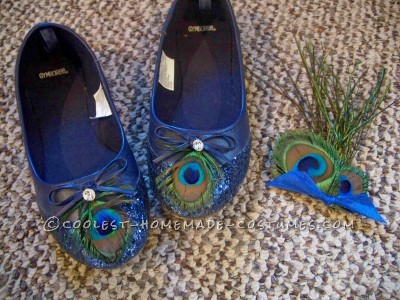 Shoes and feather brooch