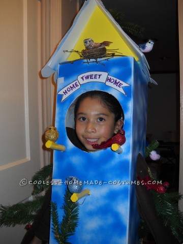 Cool Birdhouse Halloween Costume: Home Tweet Home!