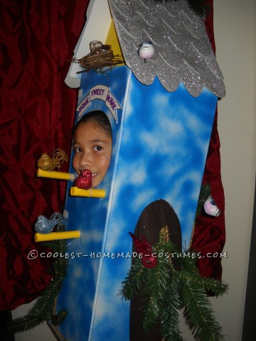 Cool Birdhouse Halloween Costume: Home Tweet Home!