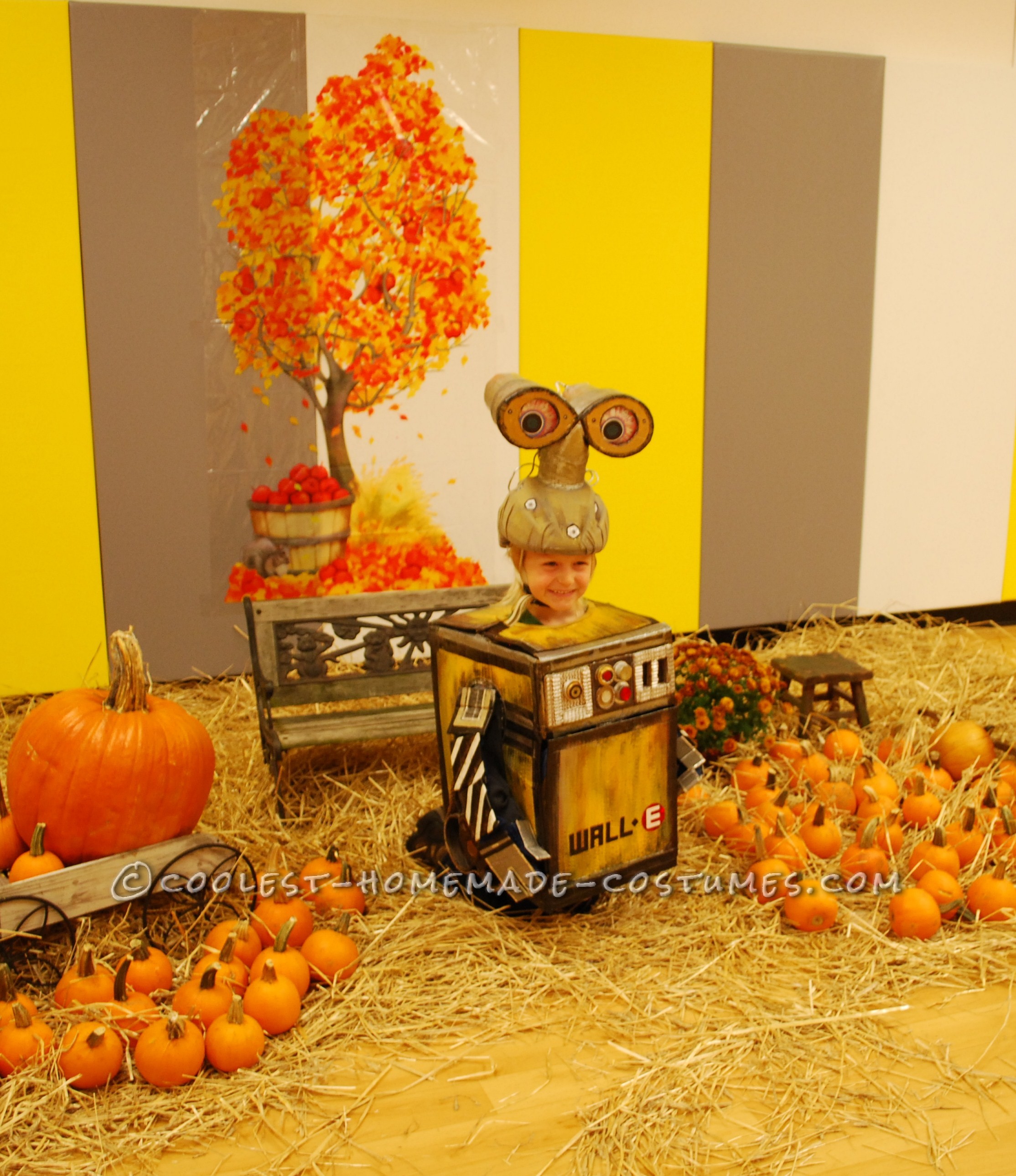 Homemade Cardboard Box Halloween Wall-E Costume