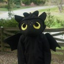 How to Train Your Dragon Homemade Toothless Costume