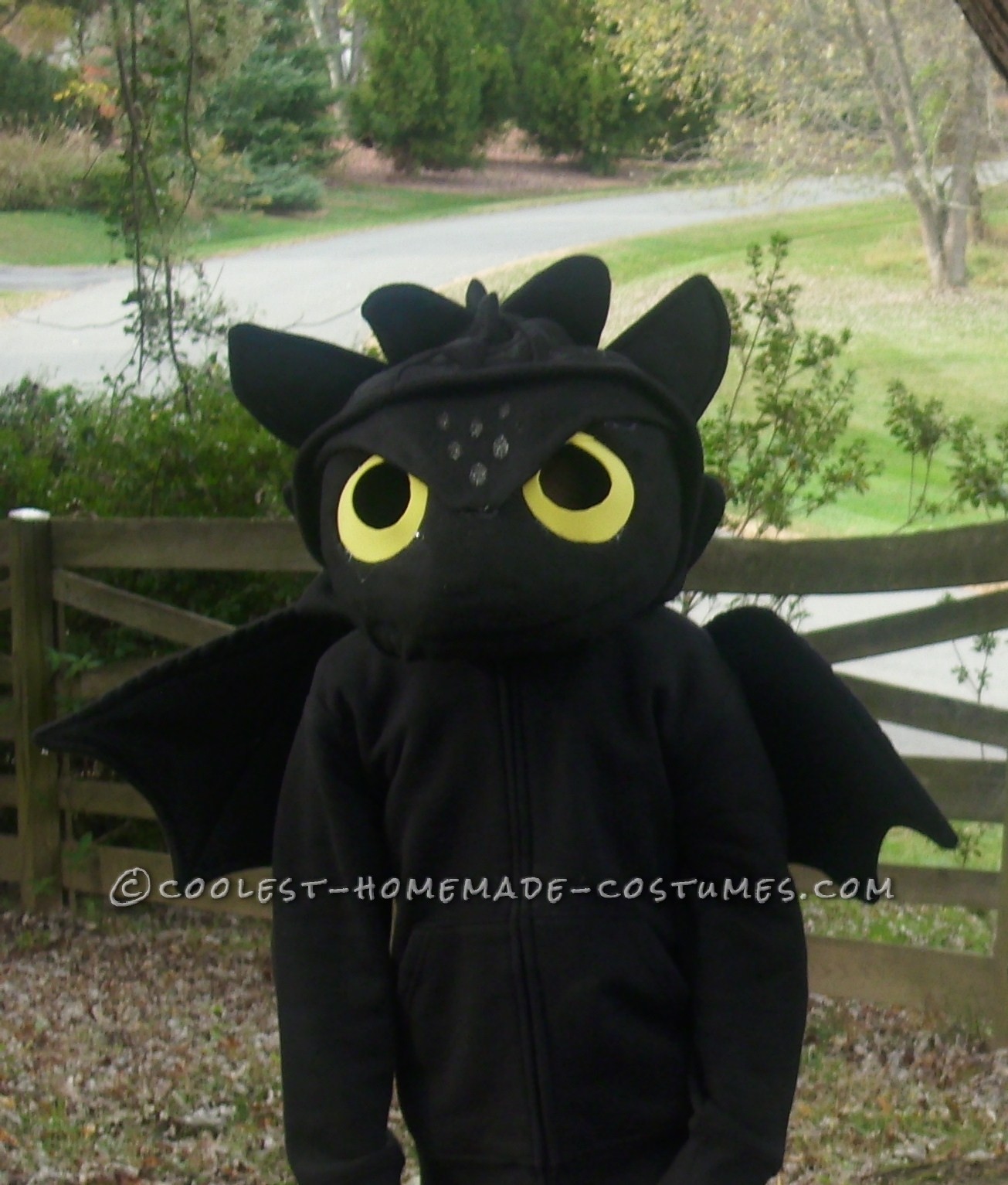 How to Train Your Dragon Homemade Toothless Costume