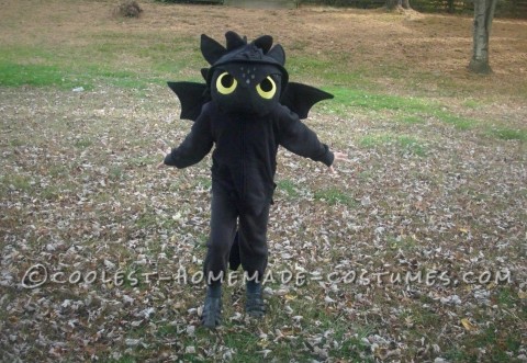 How to Train Your Dragon Homemade Toothless Costume