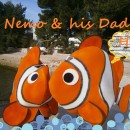 Cool Finding Nemo Group Costumes