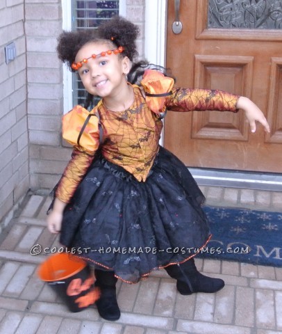 Pet Dog Spider Costume and Toddler Spider Princess