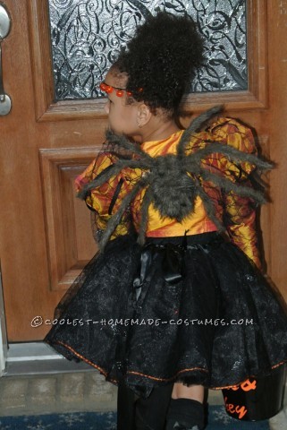 Pet Dog Spider Costume and Toddler Spider Princess