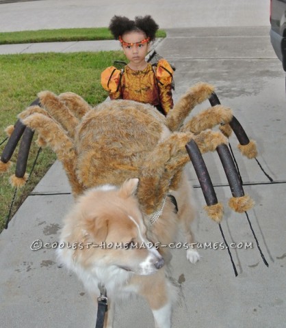 Pet Dog Spider Costume and Toddler Spider Princess