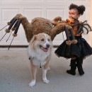 Pet Dog Spider Costume and Toddler Spider Princess