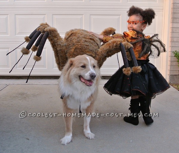 Pet Dog Spider Costume and Toddler Spider Princess