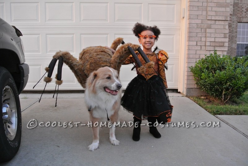 Pet Dog Spider Costume and Toddler Spider Princess