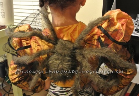 Pet Dog Spider Costume and Toddler Spider Princess