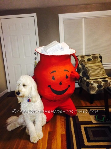 Koolest Kool Aid Man Costume