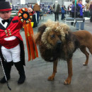 Cool Boy and Pet Dog Costume: Lion Tamer and Lion
