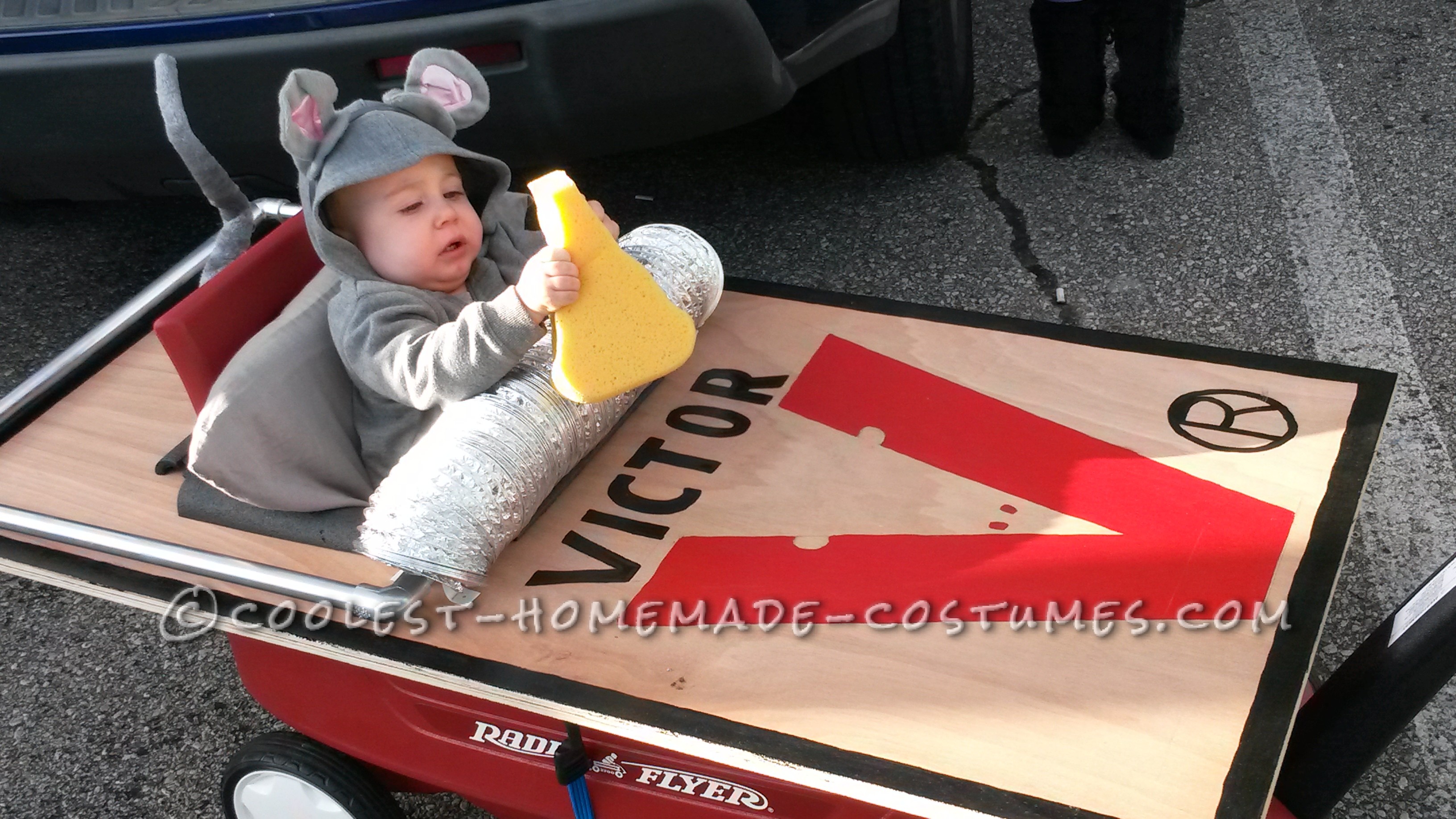 Baby Mouse's First Halloween Costume (And he got the Cheese!)