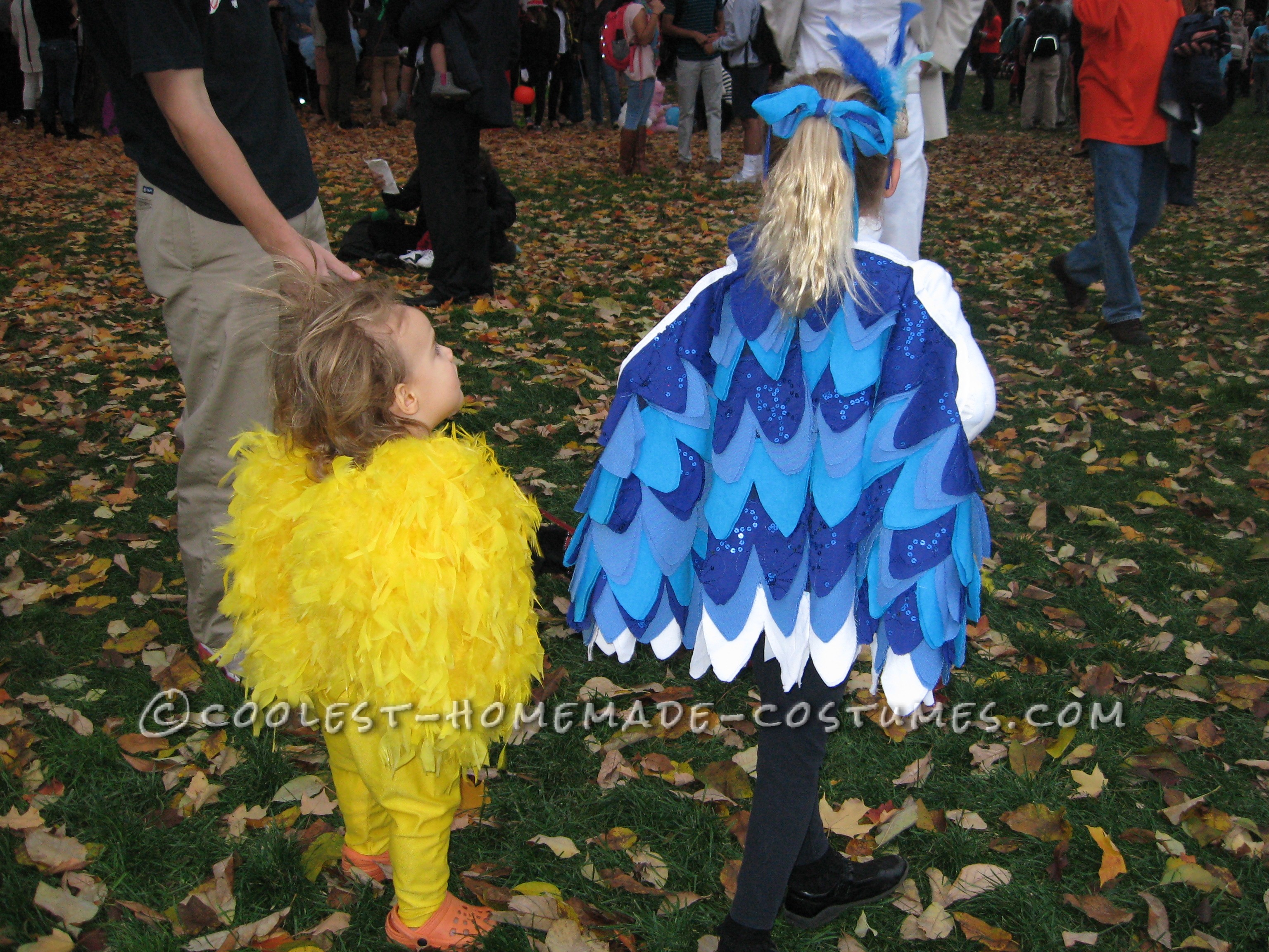 Little Chicken and Blue Bird Costumes for Brother and Sister