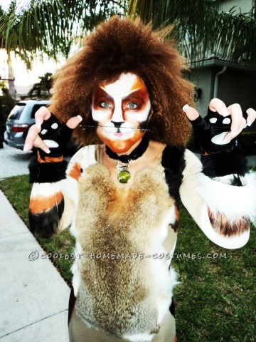 Cool Homemade Cat Costume