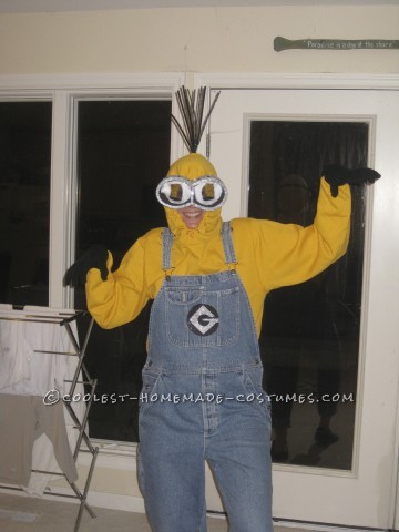 Funny Adult Minions Group Costume