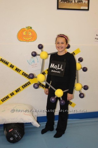 Molly-ecule Costume for Science-Loving 6th Grader Named Molly...