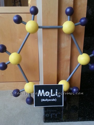 Molly-ecule Costume for Science-Loving 6th Grader Named Molly...