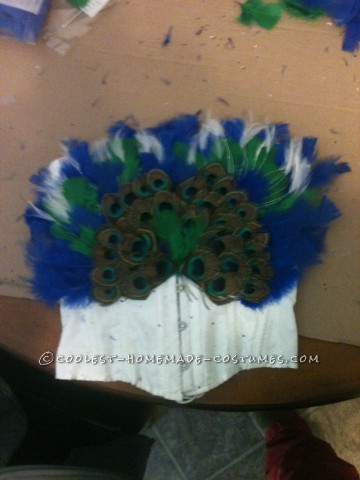 Homemade Peacock Costume with a Creative Twist